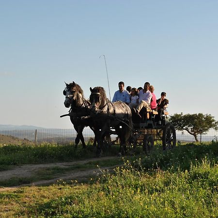 Hotel La Giralda Burguillos Del Cerro Екстериор снимка